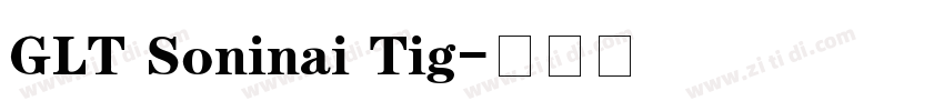 GLT Soninai Tig字体转换